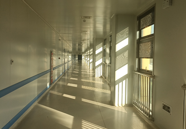 大鸡巴想你了免费网站